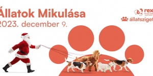 Állatok Mikulása 2023. Állatsziget, Budapest