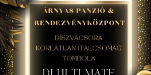 Szilveszter Gödöllő 2023. A város legjobb bulija díszvacsorával, korlátlan italfogyasztással