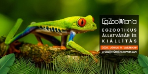 Egzotikus állatok Budapest 2024. Egzoo Mánia állatvásár és kiállítás a Vasúttörténeti Parkban