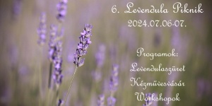 Levendula Piknik Szatymaz 2023