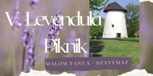 Levendula Piknik Szatymaz 2023