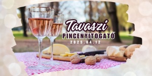 Tavaszi Pincenyitogató 2025. Hajósi Pincefalu