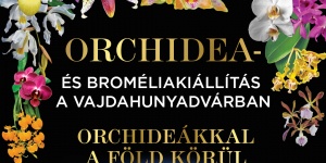Orchidea és Bromélia Kiállítás 2025 Budapest