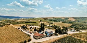 Hilltop Borbirtok & Étterem