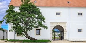 Peisonia Látogatóközpont Fertőszéplak