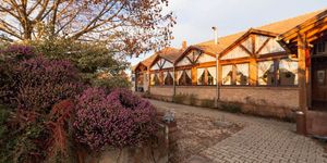 Borostyánkert Vendéglő Panzió Tekéző Sitke