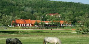 Lázár Lovaspark