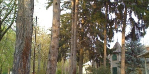 Szem-s üdülő- és lakópark Balatonszemes