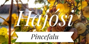 Hajósi Pincefalu