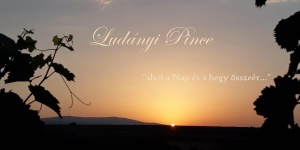 Ludányi Pince