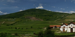 Tokaj-Hétszőlő Szőlőbirtok