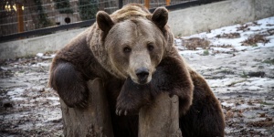 Pécs Zoo Pécsi Állatkert és Akvárium Terrárium