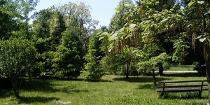 Irinyi arborétum Létavértes