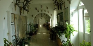 Ravazdi Erdészeti Múzeum