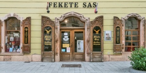 Fekete Sas Patikamúzeum Székesfehérvár