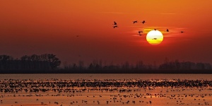 Hortobágyi Nemzeti Park Igazgatóság