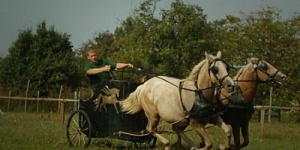 Koppánytető Lovaspark