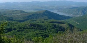 Duna-Ipoly Nemzeti Park Igazgatóság