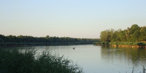 Szelidi-tó Dunapataj