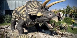 DinoPark KÖKI Budapest- Magyarország első állandó dinoszaurusz kiállítása