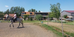 Silver Horse Ranch Békési Szabadidős Lovasklub