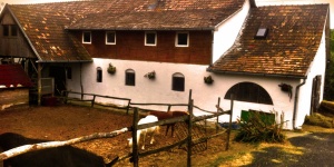 Szent György Lovasclub Zsámbék