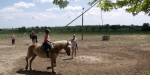 Kordik Farm Kecskemét