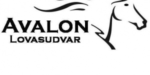 Avalon Lovasudvar Abda