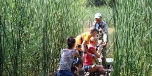 Tisza-tavi ökotúrák és csónakázás Tiszafüred