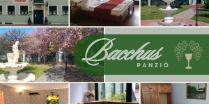 Bacchus Panzió Eger