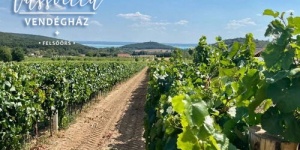Vass Pincészet és Vendégház Felsőörs