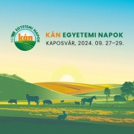 Kaposvári programok 2024. Fesztiválok, rendezvények, események